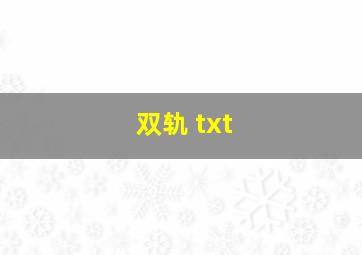 双轨 txt